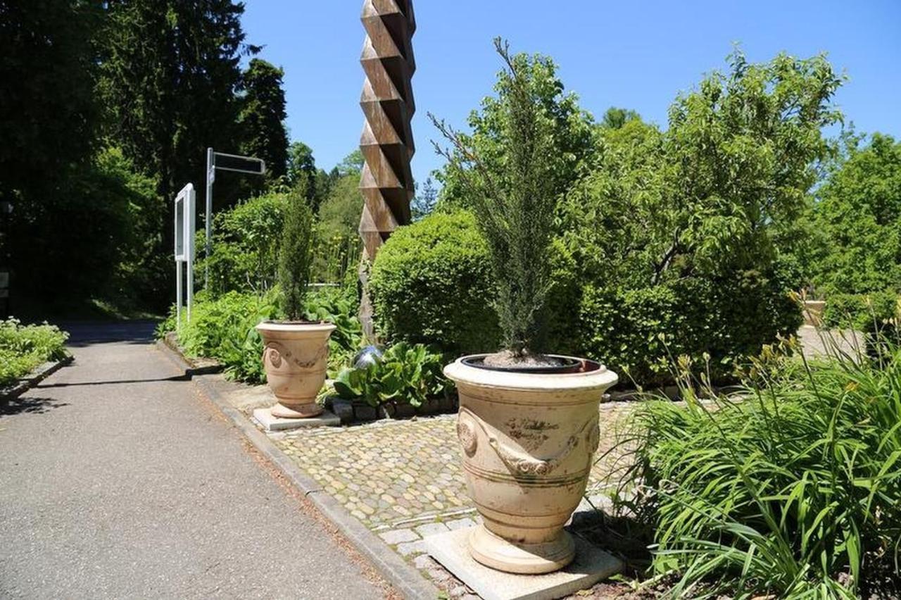 Villa Hedwig Badenweiler Extérieur photo
