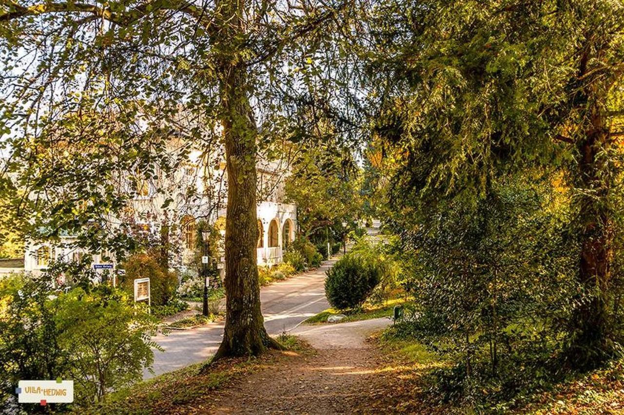 Villa Hedwig Badenweiler Extérieur photo