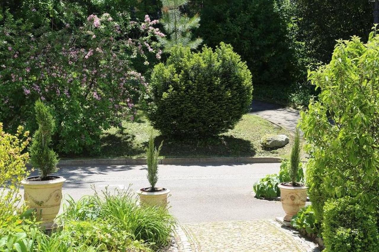 Villa Hedwig Badenweiler Extérieur photo